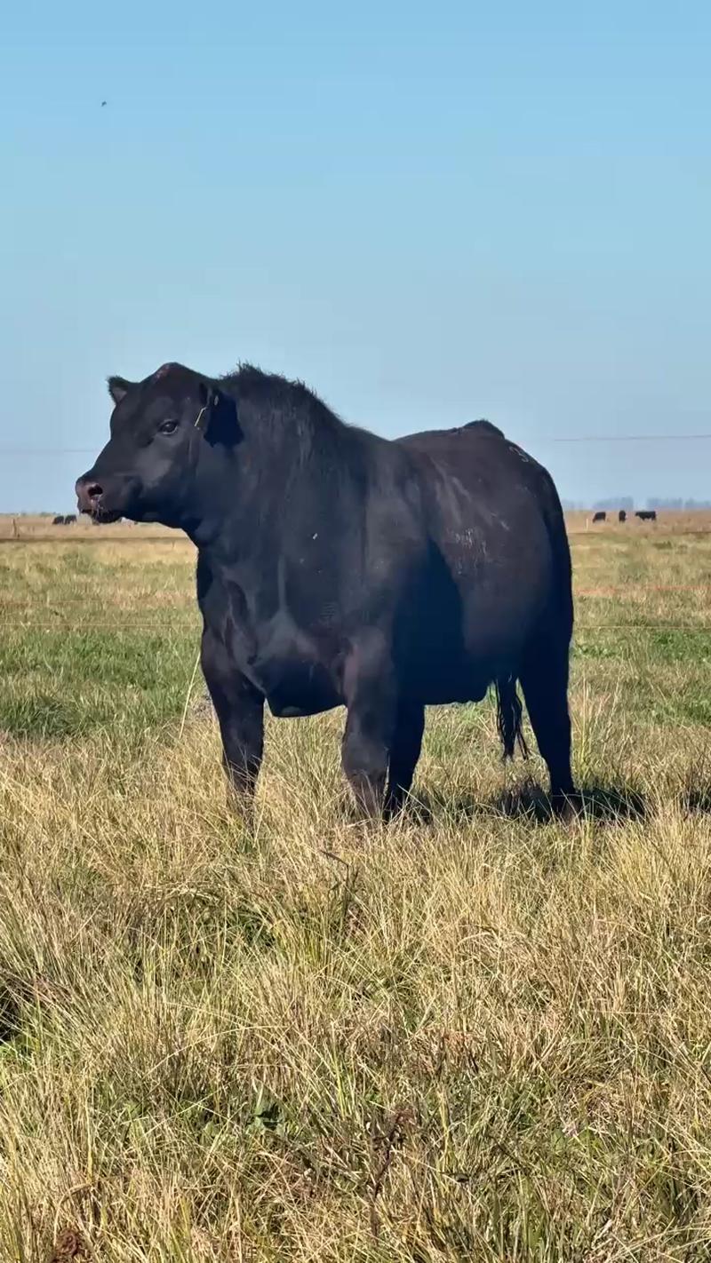 3027