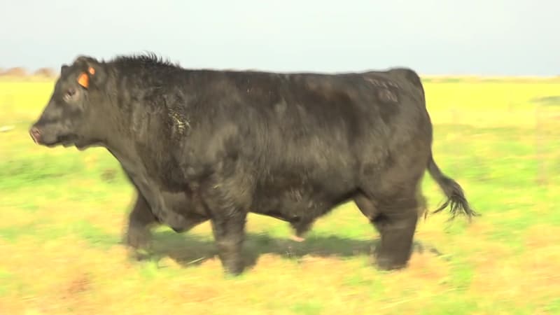 3404