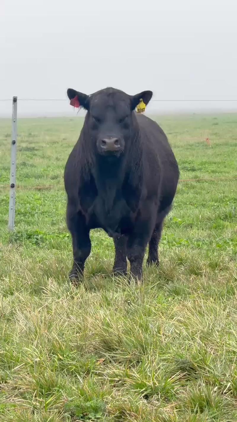 3287