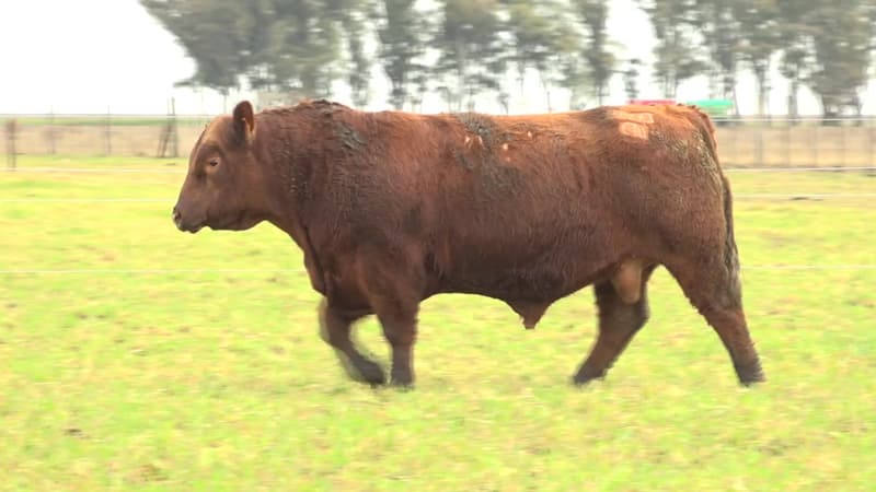 3640