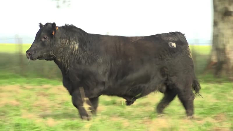 3380