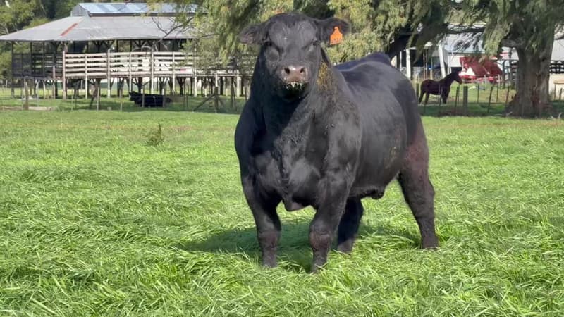 4020