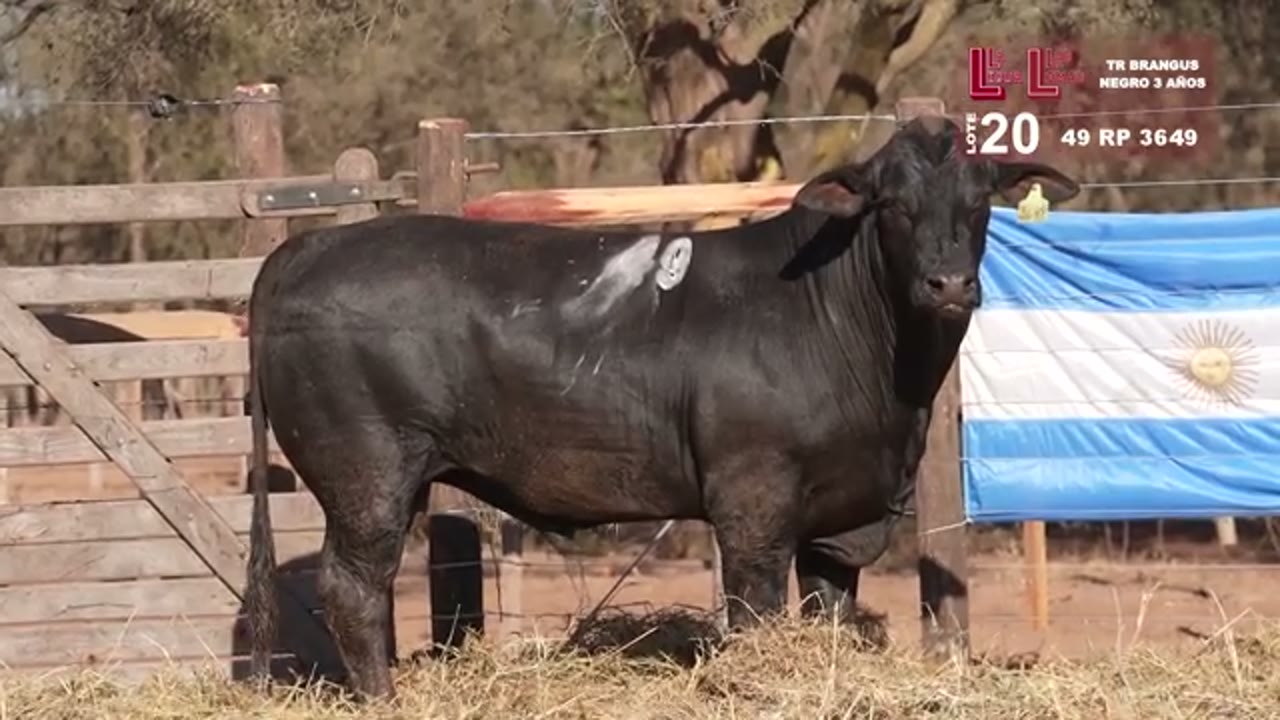 3649