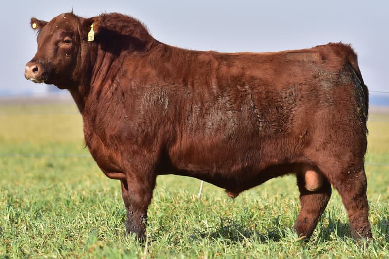 C769