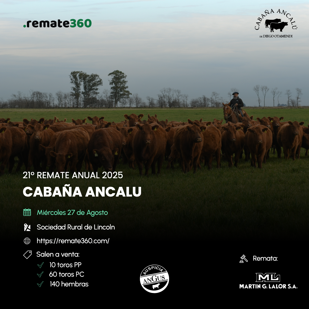 3016