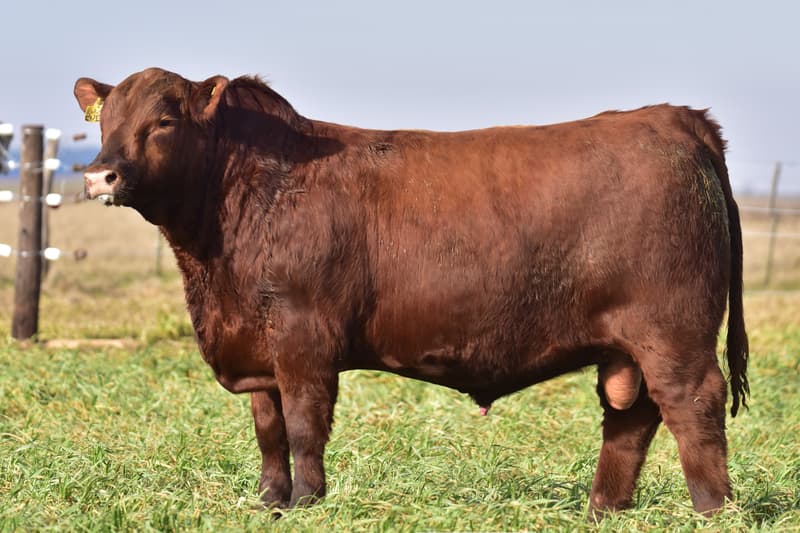 C745