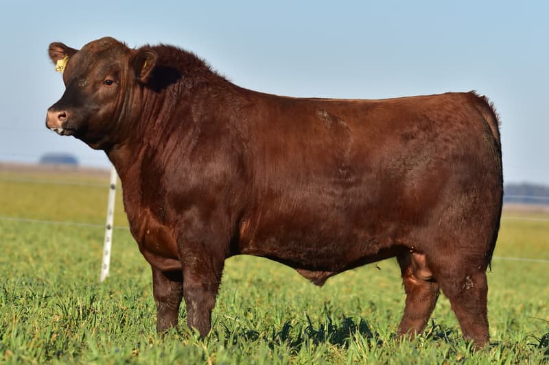 C695