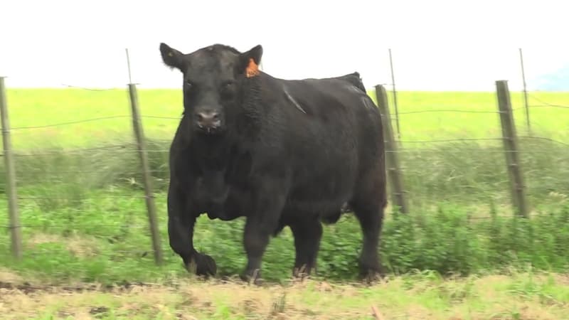 3402