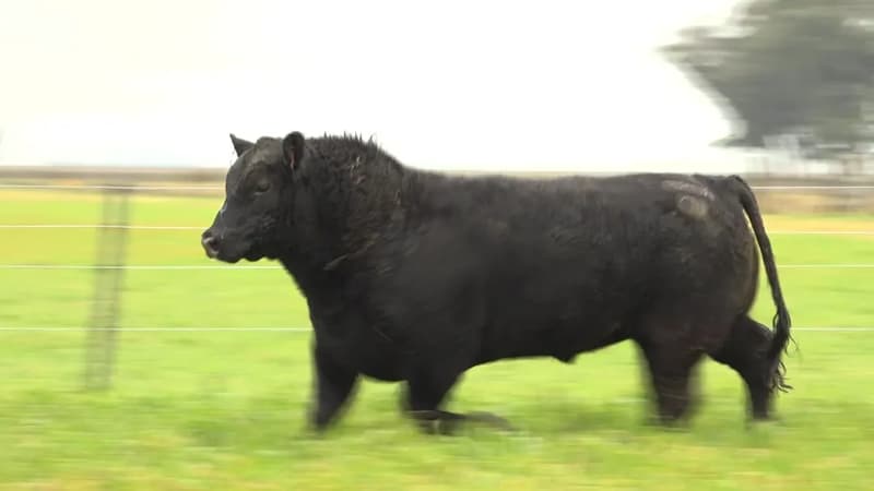 3258