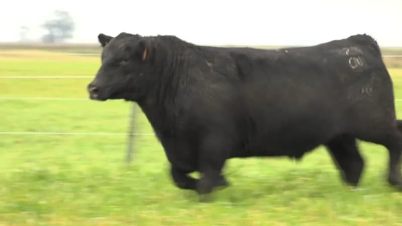 3298