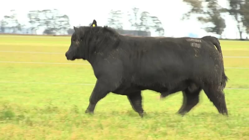 3218