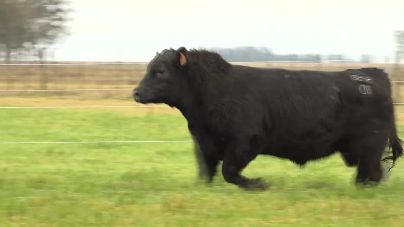 3242