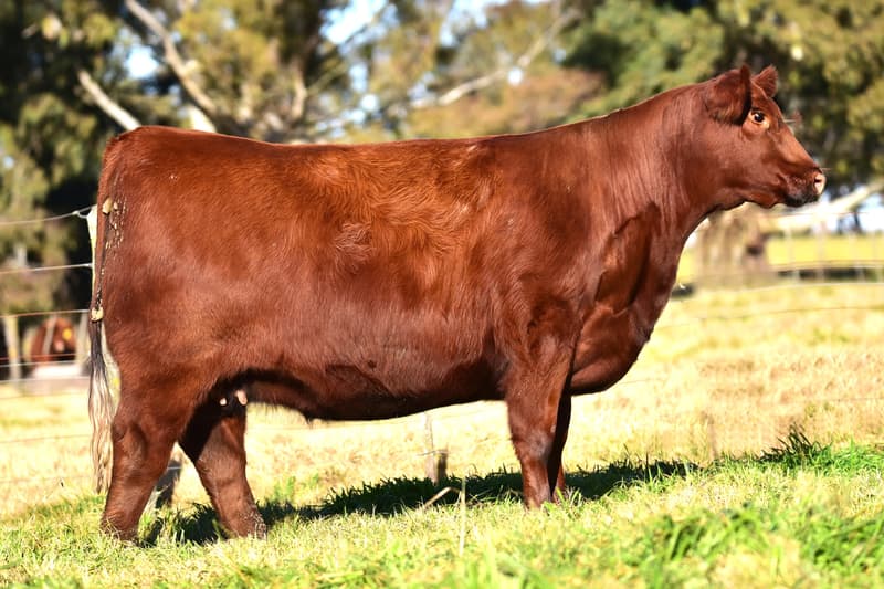 B968