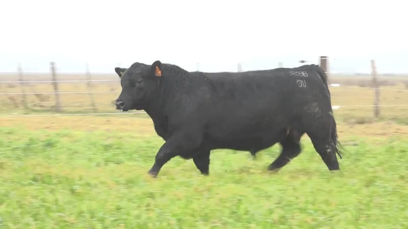 3288