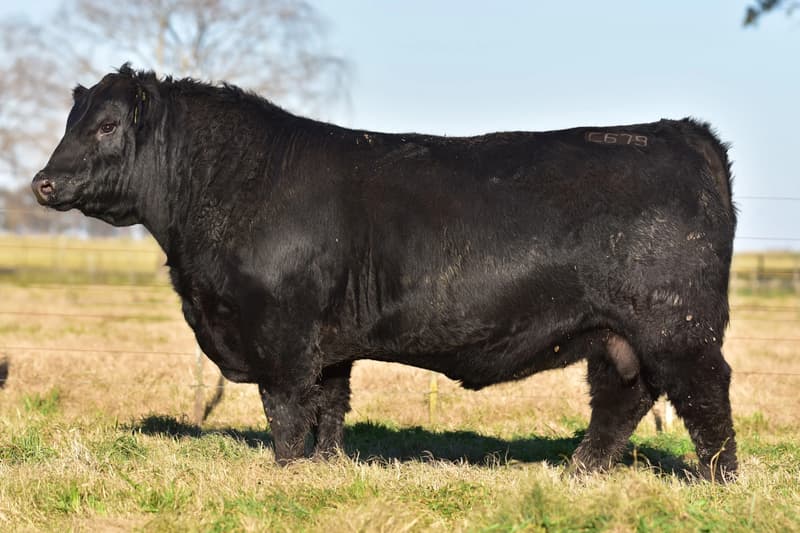 C679