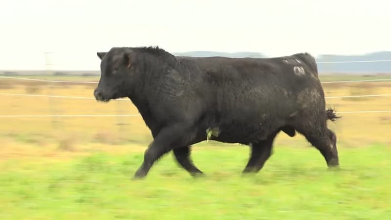 3316