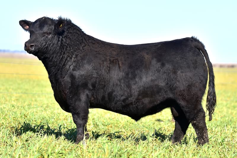 C050