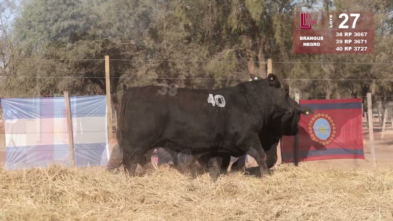 Corral 27