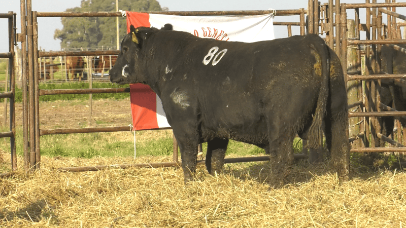 3481