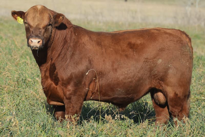 5042