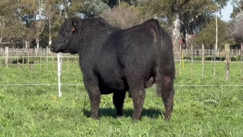 4170