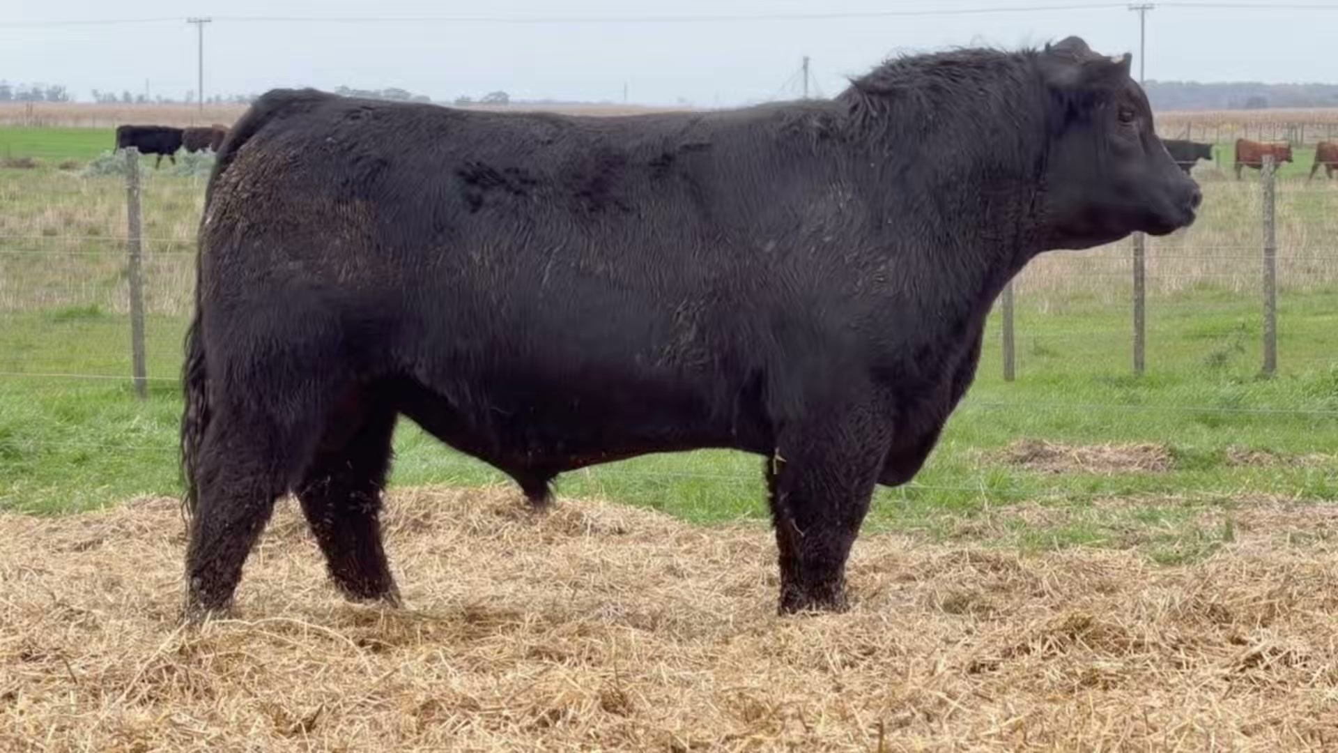 4105