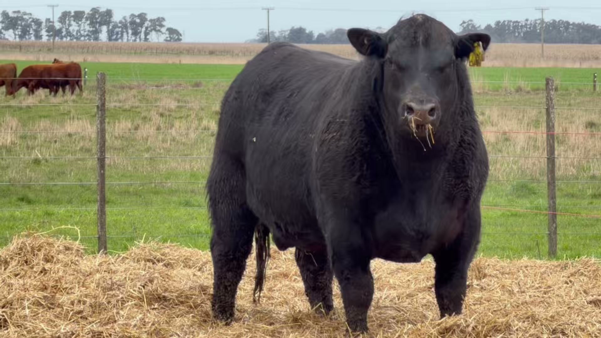 4101