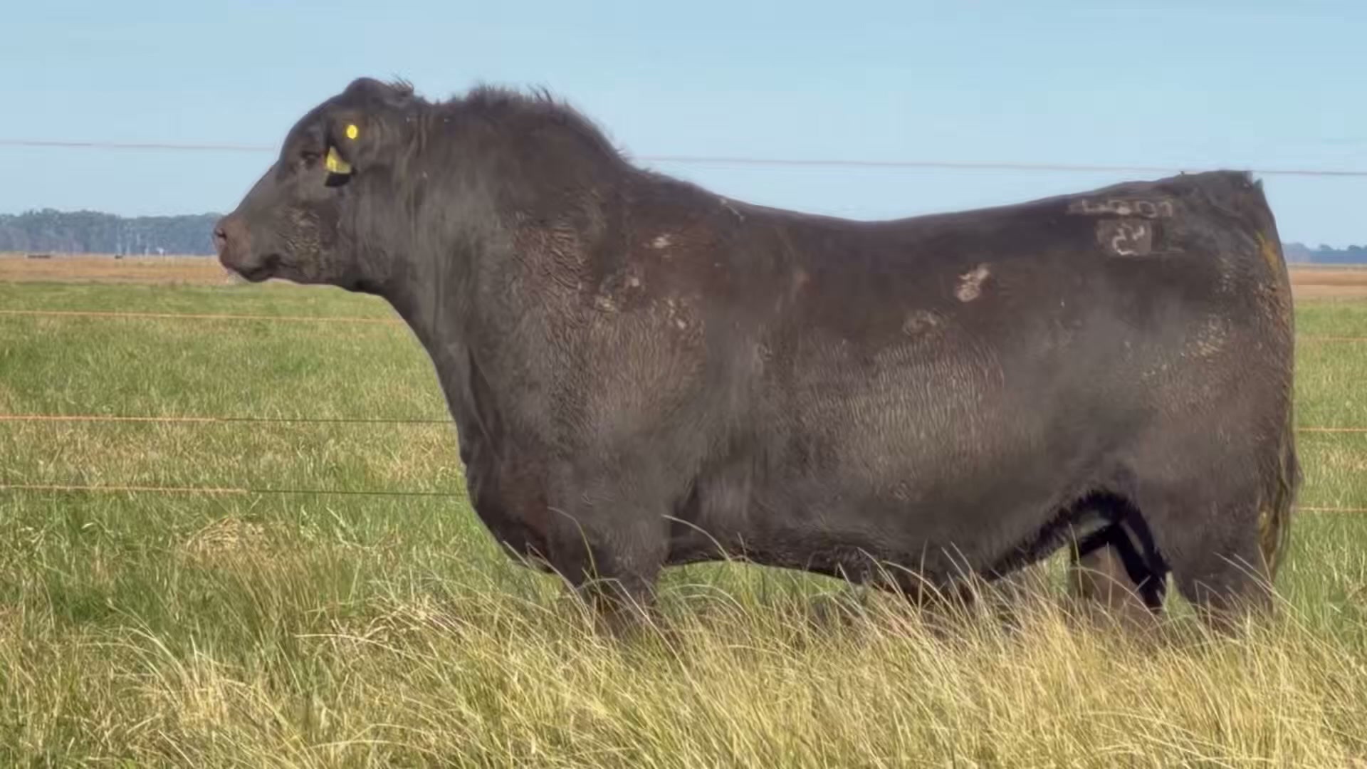 4001