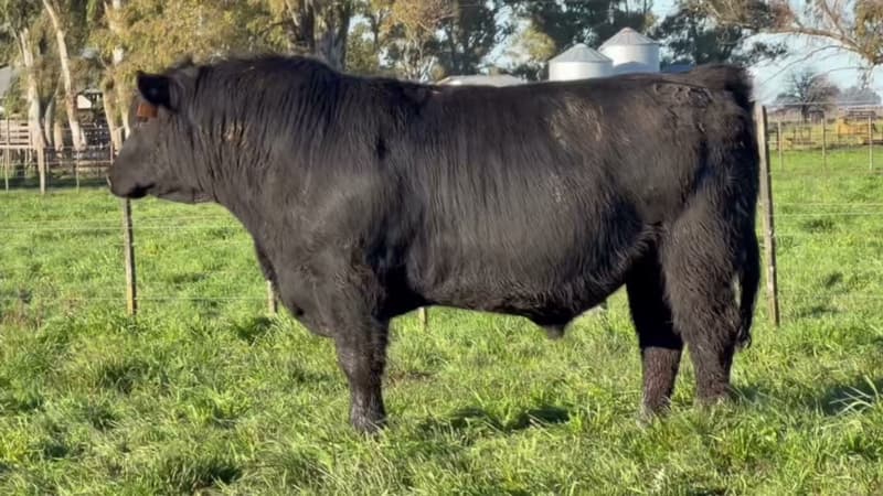 4220