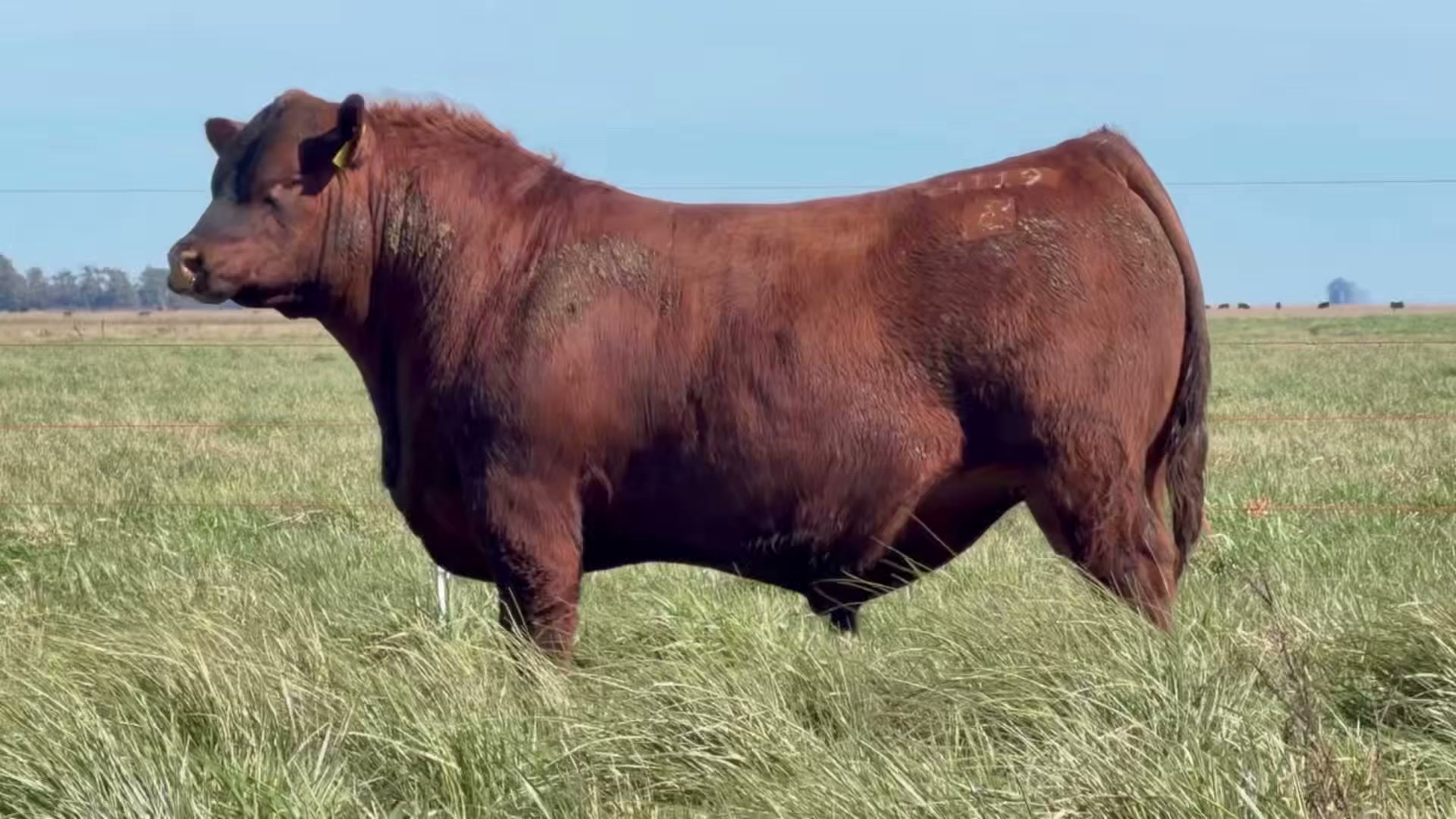 4119