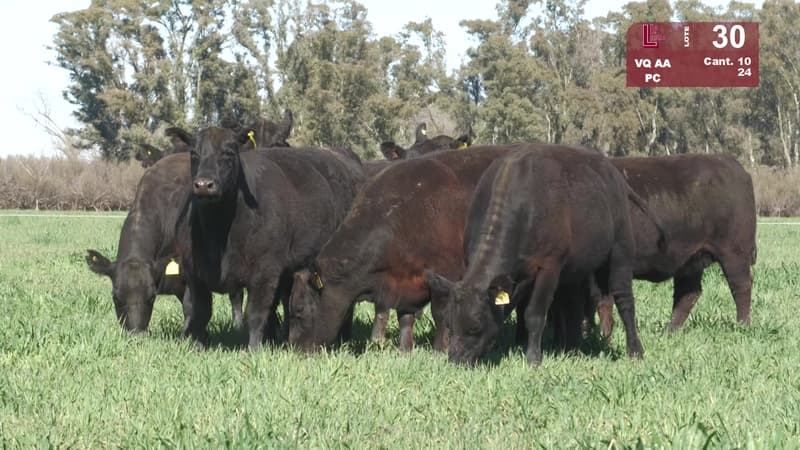 Corral 30