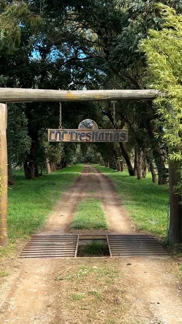 La tranquera de la cabaña